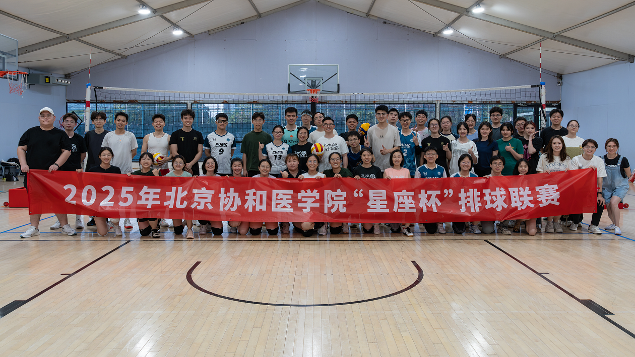 排球联赛图.png