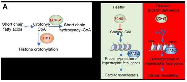 7ce70523d342464bab5b6ecc41c01d91.png image.png