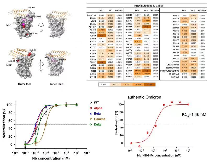 图片.jpg 图片.jpg