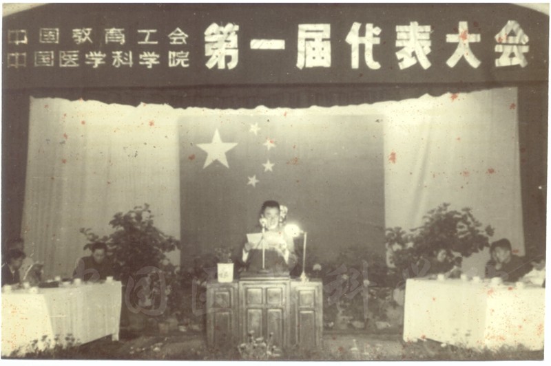 首届工会大表大会会场_副本.jpg 首届工会大表大会会场_副本.jpg