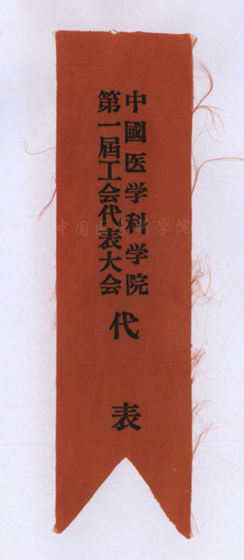 代表证_副本.jpg 代表证_副本.jpg