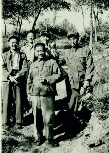 图片1.png 图片1.png