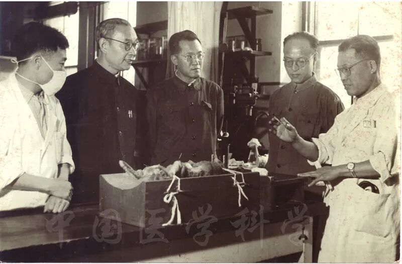 关注.png